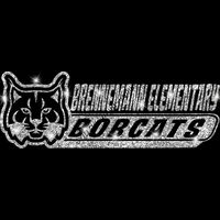 GLT99 SILVER GLITTER Thumbnail