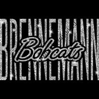 GLT95 SILVER GLITTER Thumbnail