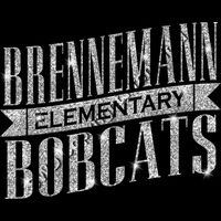 GLT57 SILVER GLITTER Thumbnail